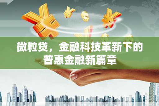 泸西微粒贷，金融科技革新下的普惠金融新篇章