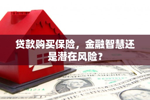 泸西贷款购买保险，金融智慧还是潜在风险？