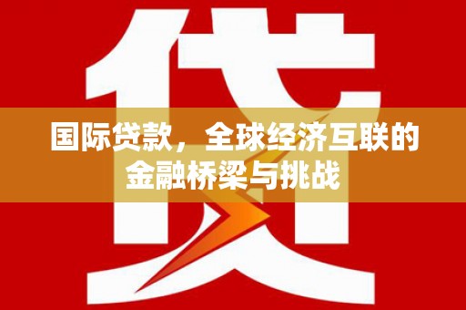 泸西国际贷款，全球经济互联的金融桥梁与挑战