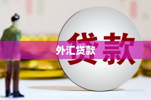 泸西外汇贷款