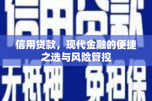 泸西信用贷款，现代金融的便捷之选与风险管控