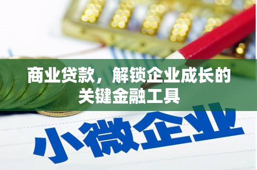 泸西商业贷款，解锁企业成长的关键金融工具