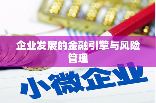 泸西企业发展的金融引擎与风险管理