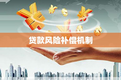 泸西贷款风险补偿机制