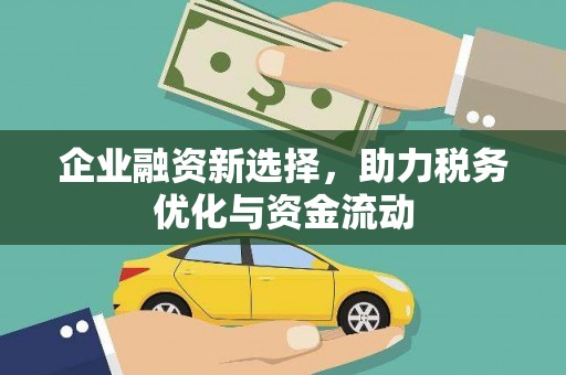 泸西企业融资新选择，助力税务优化与资金流动