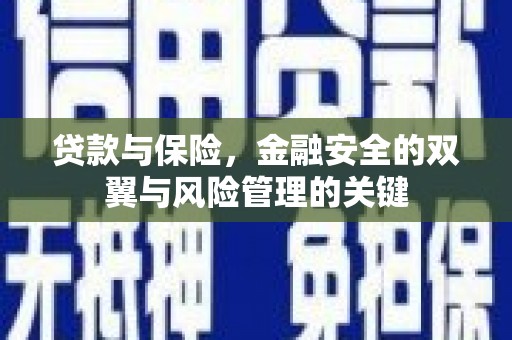 泸西贷款与保险，金融安全的双翼与风险管理的关键