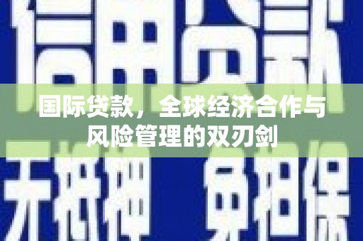 泸西国际贷款，全球经济合作与风险管理的双刃剑