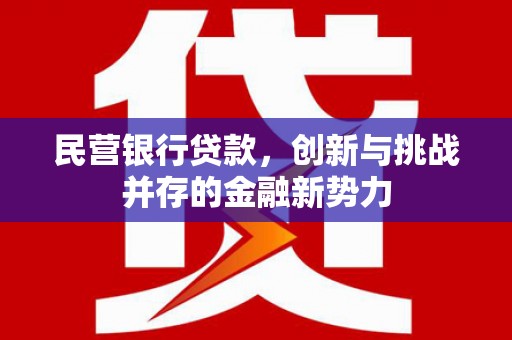 泸西民营银行贷款，创新与挑战并存的金融新势力