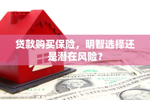 泸西贷款购买保险，明智选择还是潜在风险？