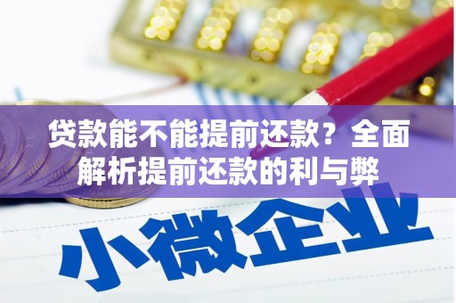 泸西贷款能不能提前还款？全面解析提前还款的利与弊