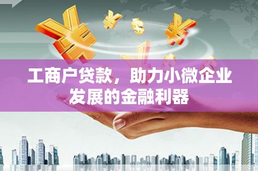 泸西工商户贷款，助力小微企业发展的金融利器