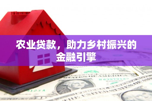 泸西农业贷款，助力乡村振兴的金融引擎