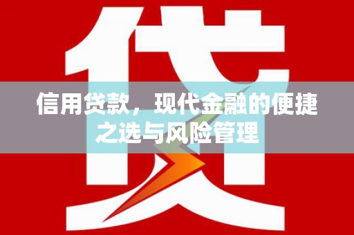 泸西信用贷款，现代金融的便捷之选与风险管理