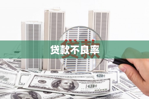 泸西贷款不良率