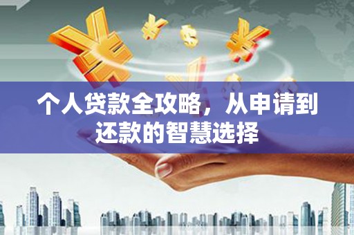 泸西个人贷款全攻略，从申请到还款的智慧选择