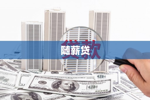 泸西随薪贷