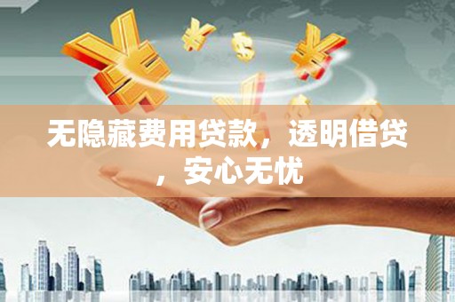 泸西无隐藏费用贷款，透明借贷，安心无忧