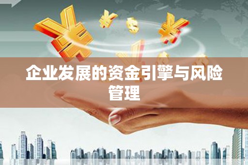 泸西企业发展的资金引擎与风险管理