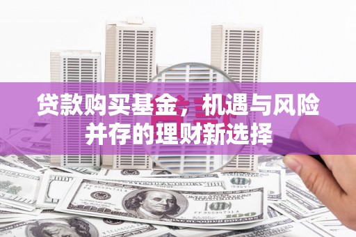 泸西贷款购买基金，机遇与风险并存的理财新选择