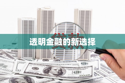 泸西透明金融的新选择