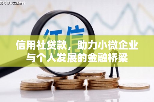 泸西信用社贷款，助力小微企业与个人发展的金融桥梁