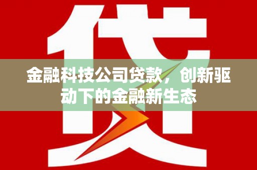 泸西金融科技公司贷款，创新驱动下的金融新生态