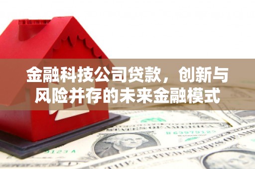 泸西金融科技公司贷款，创新与风险并存的未来金融模式