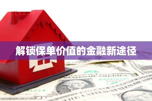 泸西解锁保单价值的金融新途径