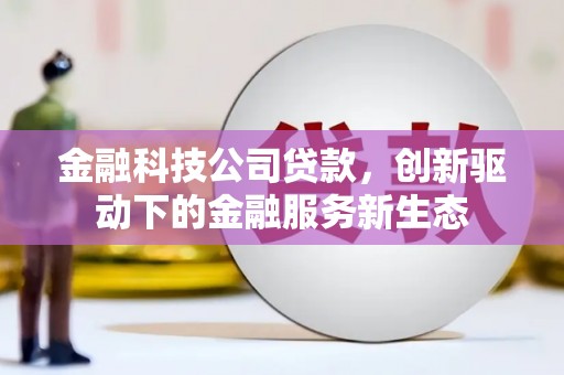 泸西金融科技公司贷款，创新驱动下的金融服务新生态