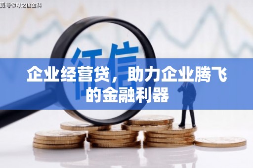 泸西企业经营贷，助力企业腾飞的金融利器