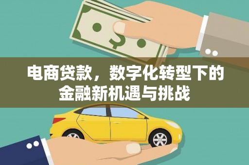 泸西电商贷款，数字化转型下的金融新机遇与挑战