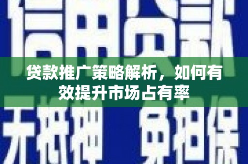 泸西贷款推广策略解析，如何有效提升市场占有率