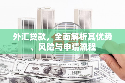 泸西外汇贷款，全面解析其优势、风险与申请流程