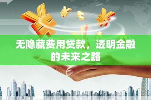 泸西无隐藏费用贷款，透明金融的未来之路