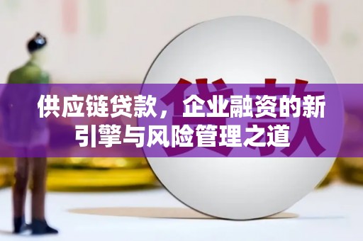 泸西供应链贷款，企业融资的新引擎与风险管理之道