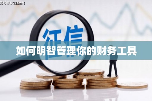 泸西如何明智管理你的财务工具
