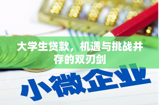 泸西大学生贷款，机遇与挑战并存的双刃剑