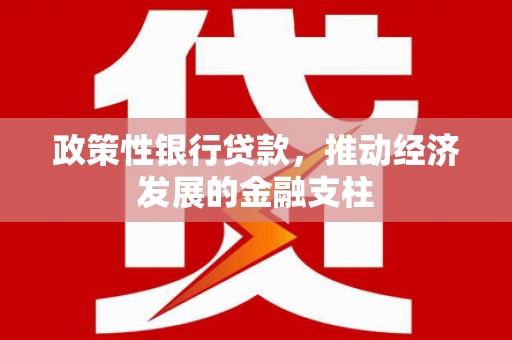泸西政策性银行贷款，推动经济发展的金融支柱