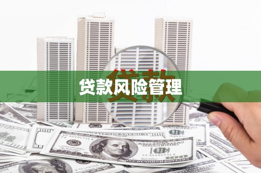 泸西贷款风险管理