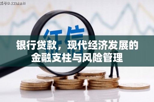 泸西银行贷款，现代经济发展的金融支柱与风险管理