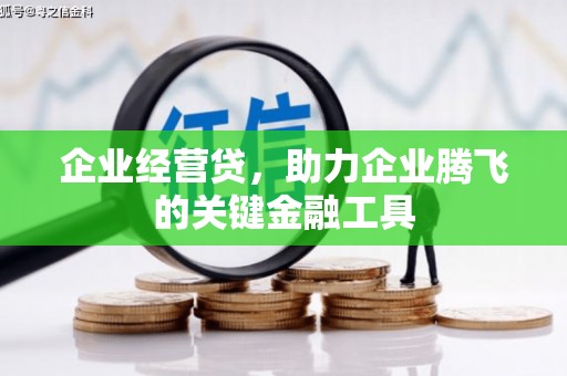 泸西企业经营贷，助力企业腾飞的关键金融工具
