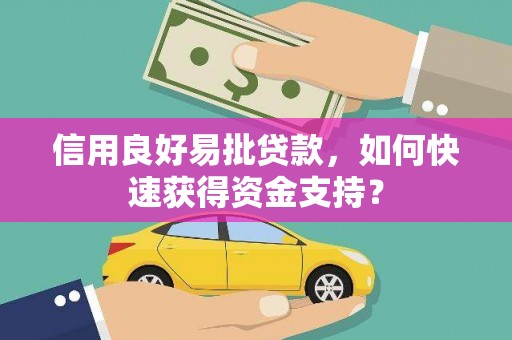 泸西信用良好易批贷款，如何快速获得资金支持？