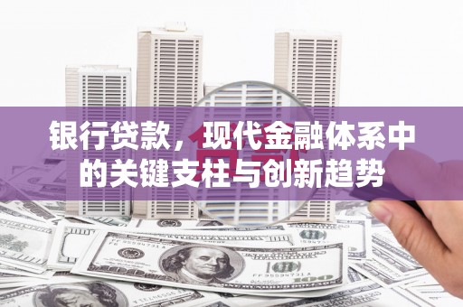 泸西银行贷款，现代金融体系中的关键支柱与创新趋势