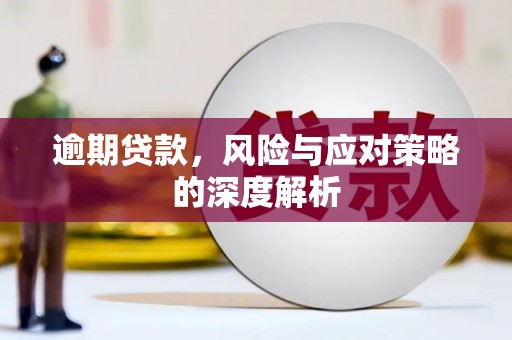 泸西逾期贷款，风险与应对策略的深度解析