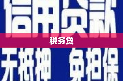 泸西税务贷