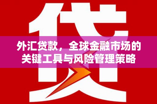 泸西外汇贷款，全球金融市场的关键工具与风险管理策略