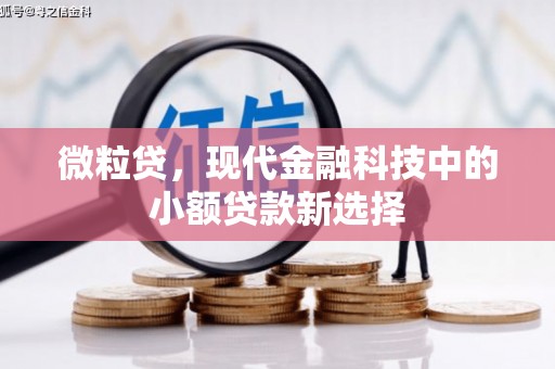 泸西微粒贷，现代金融科技中的小额贷款新选择
