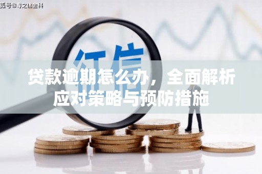泸西贷款逾期怎么办，全面解析应对策略与预防措施