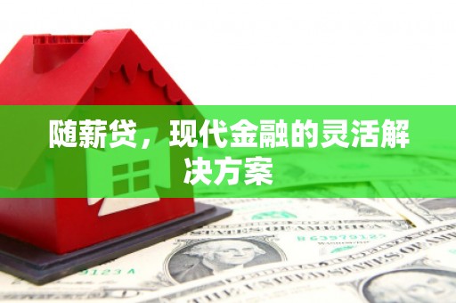 泸西随薪贷，现代金融的灵活解决方案
