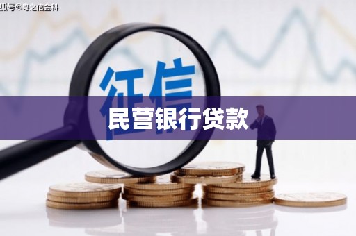 泸西民营银行贷款